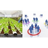 Thực hiện quy trình bổ sung thành viên tổ hợp tác thế nào?