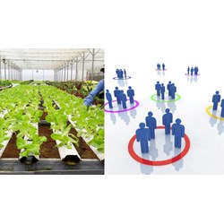 Thực hiện quy trình bổ sung thành viên tổ hợp tác thế nào?