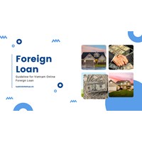 Guidelines for Vietnam's Online Foreign Loan Registration Process