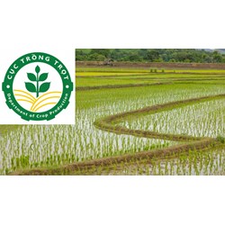 Quy định về vị trí, chức năng của Cục Trồng trọt thế nào?