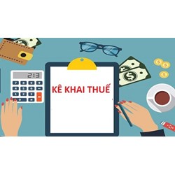 Công ty mới thành lập không đăng ký thuế ban đầu thì có bị xử phạt không?