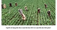 Người sử dụng đất theo Luật Đất đai 2013 và Luật Đất đai 2024 gồm?