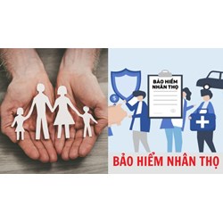 Cá nhân mua bảo hiểm nhân thọ phải từ đủ bao nhiêu tuổi trở lên?