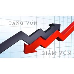 Công ty trách nhiệm hữu hạn một thành viên được giảm vốn trong trường hợp nào?