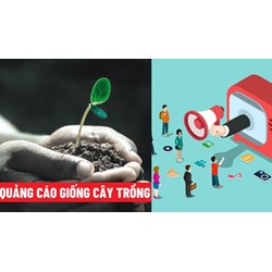 Có bị cấm quảng cáo giống cây trồng hay không?