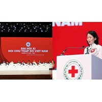 Ai bầu ra Ban Chấp hành Trung ương Hội Chữ thập đỏ Việt Nam?