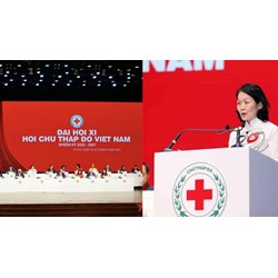 Ai bầu ra Ban Chấp hành Trung ương Hội Chữ thập đỏ Việt Nam?