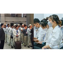 Quyền và nghĩa vụ của người đi xuất khẩu lao động mới nhất