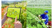 Quy định hoạt động đổi mới sáng tạo trong các ngành nông nghiệp