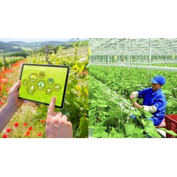 Quy định hoạt động đổi mới sáng tạo trong các ngành nông nghiệp