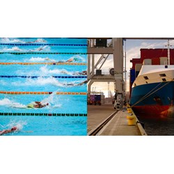 Mức phạt người tổ chức bơi lội trong vùng nước cảng khi chưa được chấp thuận