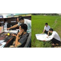 Nguyên tắc thống kê, kiểm kê đất đai theo Luật Đất đai 2024 mới
