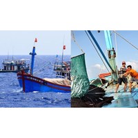 Đến tháng 4/2024 không còn tình trạng tàu cá Việt Nam khai thác hải sản trái phép