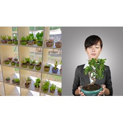 Đặt tên giống cây trồng sao cho đúng quy định?