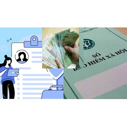 Quy định về số lao động sử dụng có tham gia BHXH của doanh nghiệp nhỏ và vừa