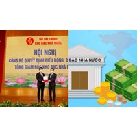 Tiêu chuẩn để trở thành Tổng Giám đốc Kho bạc Nhà nước bao gồm?
