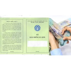 Sổ bảo hiểm xã hội sai năm sinh có được rút BHXH một lần?