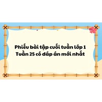 Phiếu bài tập cuối tuần Toán 2 sách Cánh diều có đáp án