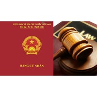Làm công tác pháp chế có bắt buộc phải có bằng cử nhân luật không