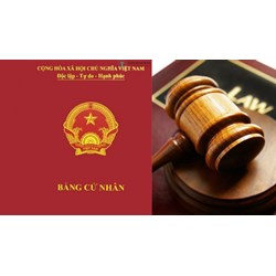 Làm công tác pháp chế có bắt buộc phải có bằng cử nhân luật không