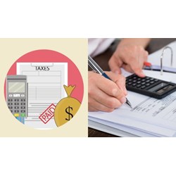 Căn cứ xác định thuế khoán của hộ kinh doanh theo quy định?