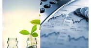 Có nộp vào ngân sách số tiền bảo đảm thực hiện dự án đầu tư không