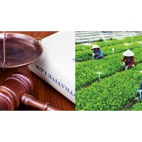 Điều kiện tổ hợp tác chuyển đổi thành hợp tác xã theo Luật mới