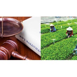 Điều kiện tổ hợp tác chuyển đổi thành hợp tác xã theo Luật mới