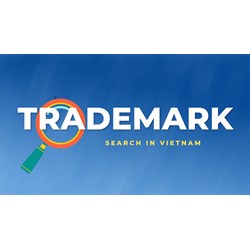 Vietnam Trademark Search Pre-filing: A Small but Invaluable Step