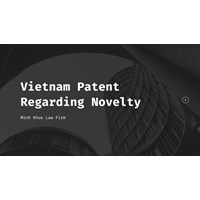 Vietnam's Patent Registration System Regarding Novelty