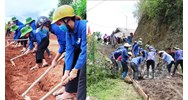 Quy định về ban Chỉ huy lực lượng thanh niên xung phong cấp TW