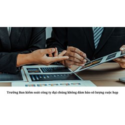 Trưởng Ban kiểm soát công ty đại chúng không đảm bảo số lượng cuộc họp