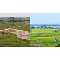 Xác định các loại đất sử dụng ổn định lâu dài từ ngày 01/01/2025