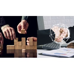 Chấm dứt hoạt động chi nhánh, văn phòng đại diện của hợp tác xã khi nào