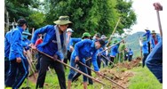 Hình thức thực hiện việc ghi nhận thanh niên xung phong