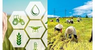 Trang thiết bị và vật tư nông nghiệp trong canh tác gồm những gì?