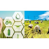 Trang thiết bị và vật tư nông nghiệp trong canh tác gồm những gì?
