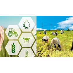 Trang thiết bị và vật tư nông nghiệp trong canh tác gồm những gì?
