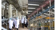 Yêu cầu kết cấu nhà xưởng của cơ sở chế biến cà phê nhân ra sao?