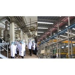 Yêu cầu kết cấu nhà xưởng của cơ sở chế biến cà phê nhân ra sao?