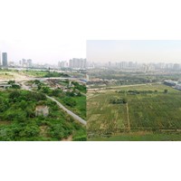Thẩm quyền thành lập Hội đồng thẩm định quy hoạch quốc gia