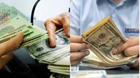 Công ty Việt Nam theo quy định có được thanh toán bằng ngoại tệ cho công ty nước ngoài không?