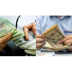 Công ty Việt Nam theo quy định có được thanh toán bằng ngoại tệ cho công ty nước ngoài không?