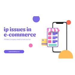 IP Issues in E-commerce Pitfall Businesses Need to be Aware of