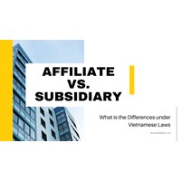 Subsidiaries and Affiliates in Vietnam: What is the Differences?