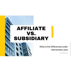 Subsidiaries and Affiliates in Vietnam: What is the Differences?