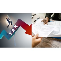 Mã định danh điện tử của tổ chức có được xác định bằng mã số thuế?