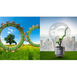 Kinh tế xanh là gì? Phát triển kinh tế xanh như thế nào?