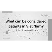 Items that are not covered by a Vietnamese Patent: What and Why