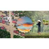 Phân tích Tục ngữ về thiên nhiên và lao động sản xuất hay nhất